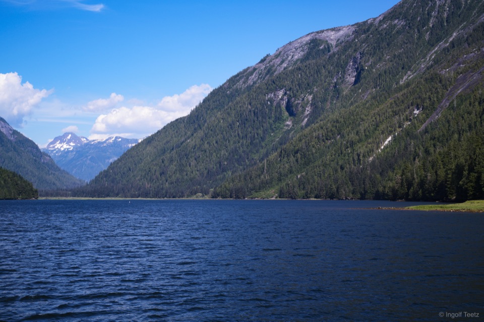 Khutzeymateen-Fjord mit steilen bewaldeten Hängen und schneebedeckten Gipfeln
